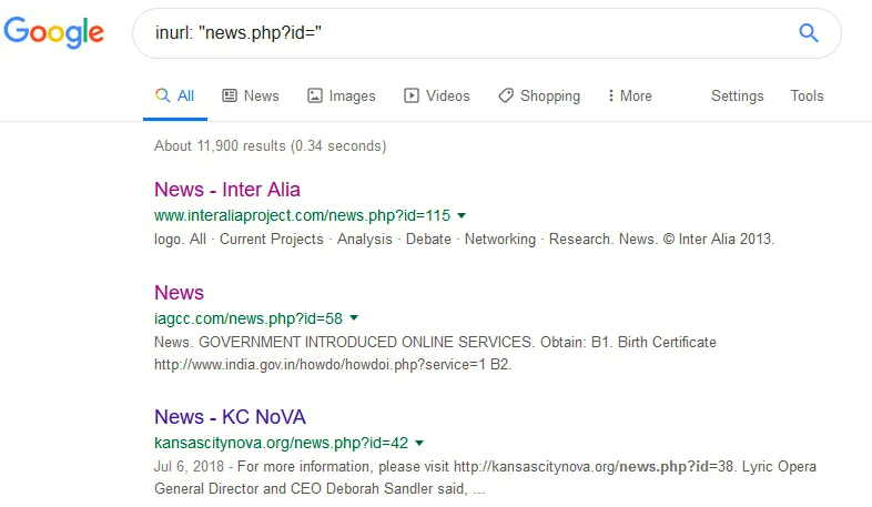 Synthax Google Dorks