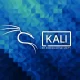 Kali Linux guide