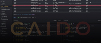 Caido web security auditing tool